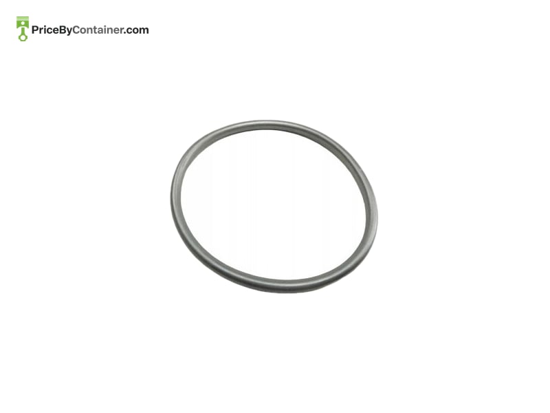 AUDI / VOLKSWAGEN N91019101 — AUDI / VOLKSWAGEN GENUINE SEAL RING N91019101