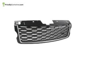 AUTOSTAR LR098080 — AutoStar SHOW GRILLE 2018-2020 LR098080