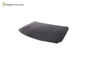 BMW 41007484213 — BMW GENUINE HOOD 41007484213