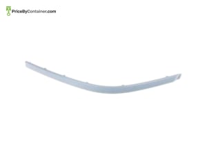 BMW 51117005961 — BMW GENUINE FRONT BUMPER MULDING 51117005961