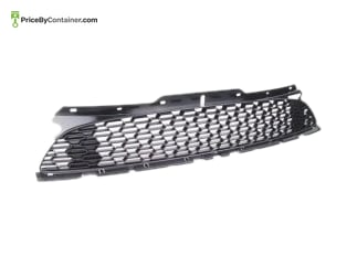 BMW 51117255125 — BMW GENUINE GRILL FRONT 51117255125