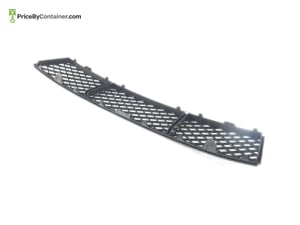 BMW 51117285950 — BMW GENUINE GRILL MIDDLE 51117285950