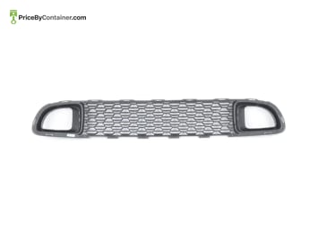BMW 51117289990 — BMW GENUINE GRILL LOWER 51117289990