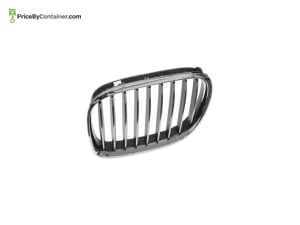 BMW 51117295297 — BMW GENUINE GRILLE 51117295297