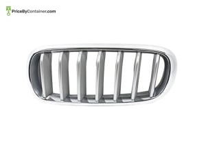 BMW 51117303107 — BMW GENUINE FRONT GRILLE 51117303107