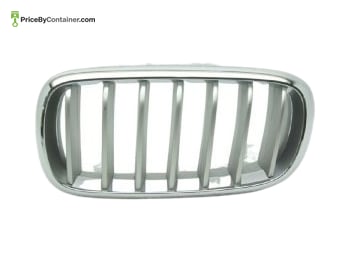 BMW 51117303109 — BMW GENUINE GRILLE FRONT 51117303109
