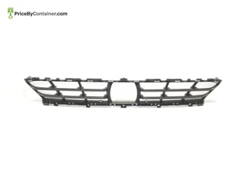 BMW 51117423977 — BMW GENUINE CENTER GRILLE 51117423977