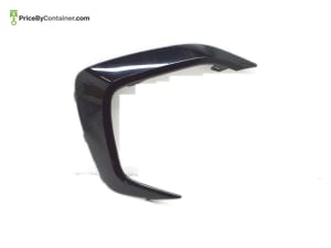 BMW 51117474260 — BMW GENUINE FINISHER RH 51117474260