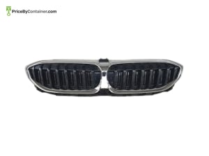 BMW 51118059953 — BMW GENUINE GRILL ICAM 51118059953