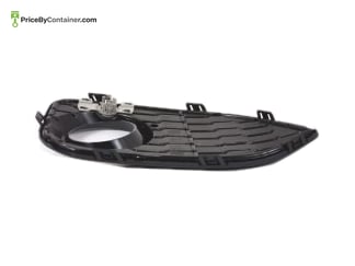 BMW 51118068603 — BMW GENUINE GRID LOWER 51118068603