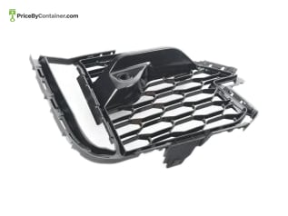 BMW 51118069890 — BMW GENUINE GRILL 51118069890