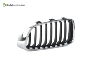 BMW 51135A3D025 — BMW GENUINE FRONT GRILLE LH 51135A3D025