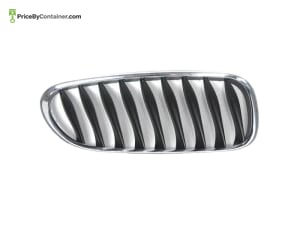BMW 51137051958 — BMW GENUINE FRONT GRILLE 51137051958