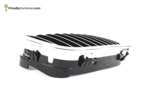 BMW 51137064317 — BMW GENUINE SHOW GRILLE 51137064317