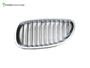 BMW 51137065701 — BMW GENUINE GRILL 51137065701