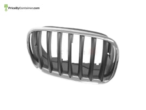 BMW 51137157688 — BMW GENUINE GRILL 51137157688