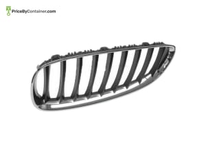 BMW 51137191509 — BMW GENUINE GRILE 51137191509
