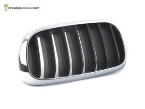 BMW 51137294485 — BMW GENUINE GRILL SHOW RH 51137294485