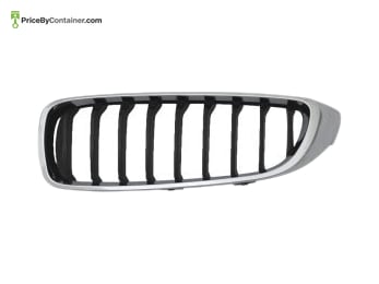 BMW 51137294817 — BMW GENUINE SHOW GRILE 51137294817