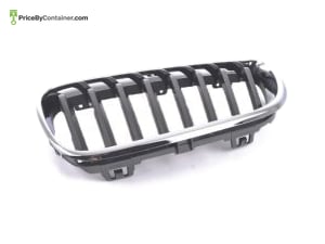 BMW 51137295523 — BMW GENUINE GRILL BUMPER 51137295523