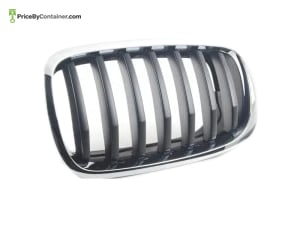 BMW 51137305589 — BMW GENUINE SHOW GRILLE 51137305589