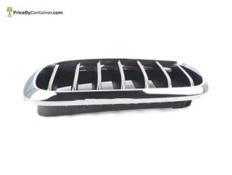 BMW 51137316061 — BMW GENUINE GRILLE FR 51137316061