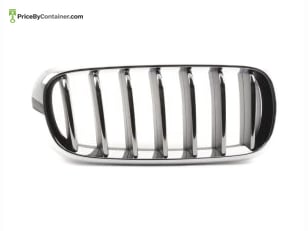 BMW 51137316062 — BMW GENUINE SHOW GRILLE RH BLUCK 51137316062