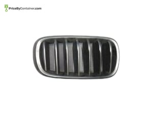 BMW 51137349387 — BMW GENUINE SHOW GRILLE 51137349387