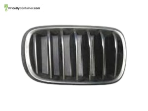 BMW 51137349388 — BMW GENUINE SHOW GRILLE 51137349388