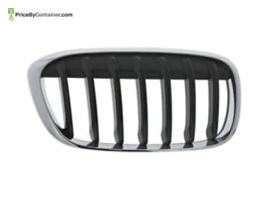BMW 51137354824 — BMW GENUINE GRILL 51137354824