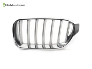 BMW 51137367421 — BMW GENUINE FRONT GRILL 51137367421