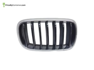 BMW 51137373690 — BMW GENUINE GRILL 51137373690