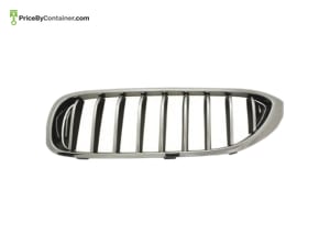 BMW 51137383519 — BMW GENUINE SHOW GRILL 51137383519