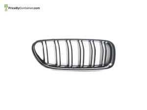 BMW 51138057224 — BMW GENUINE FRONT GRILL 51138057224
