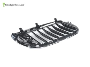 BMW 51138065541 — BMW GENUINE GRILL 51138065541