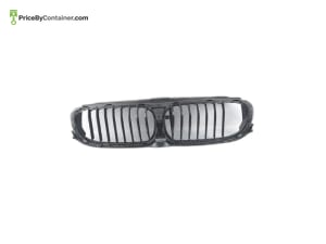 BMW 51138091761 — BMW GENUINE GRILL 51138091761