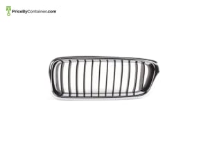BMW 51138231593 — BMW GENUINE GRILL 51138231593