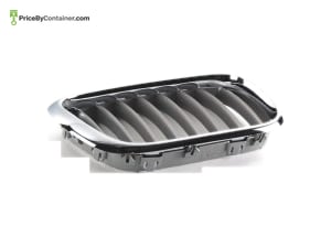 BMW 51138250052 — BMW GENUINE GRIL X5 51138250052
