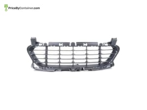PORSCHE 95850568302 — Porsche Genuine FR GRILLE 95850568302